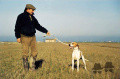 Pedigree CHEOPE DEL VENTO Pedigree CHEOPE DEL VENTO